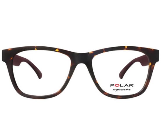 POLAR 9004 476 - 8056598144048